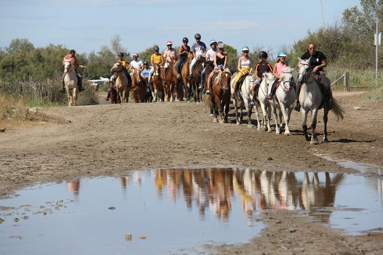 Promenades à cheval  - Abrivado ranch