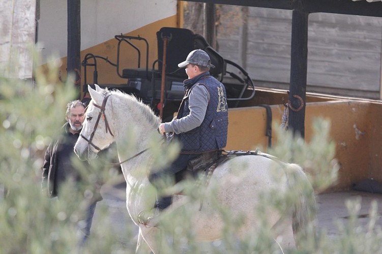 Promenades à cheval  - Abrivado ranch