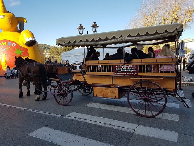 Carriage rides - Les Calèches de Camargue