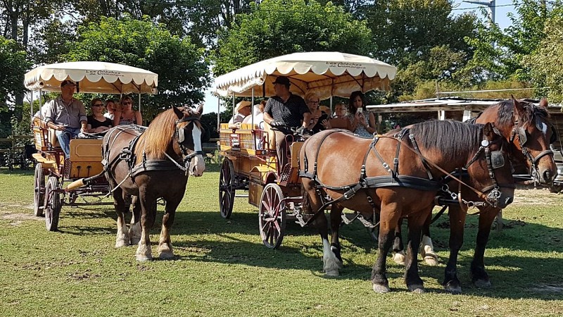 Carriage rides - Les Calèches de Camargue
