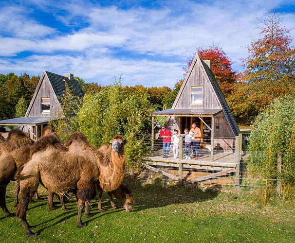 ZOOBSERVATOIRE 4 PERSONES