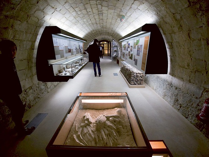 Musée de la préhistoire