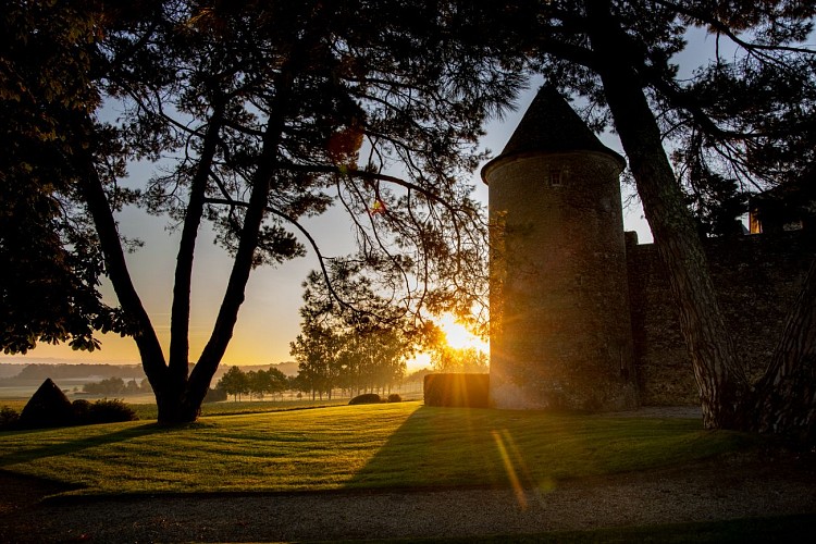 Château d'Yquem (C) Deepix (19)