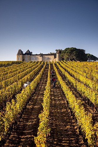 Château d'Yquem (C) Deepix(13) - Copie