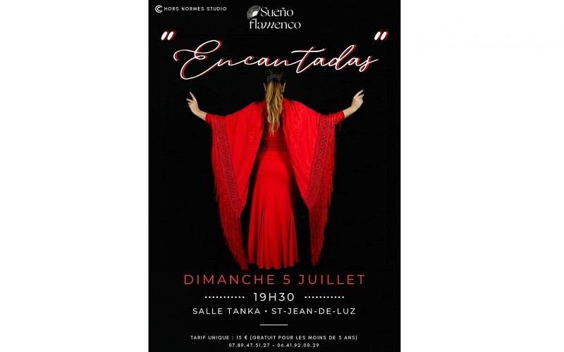 OK AFFICHE ENCANTADAS-3_page-0001
