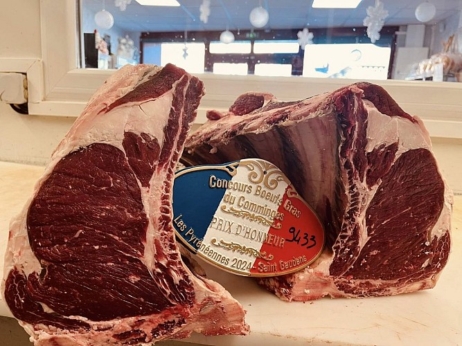 482055782_1141067144481054_4475963041223213154_n