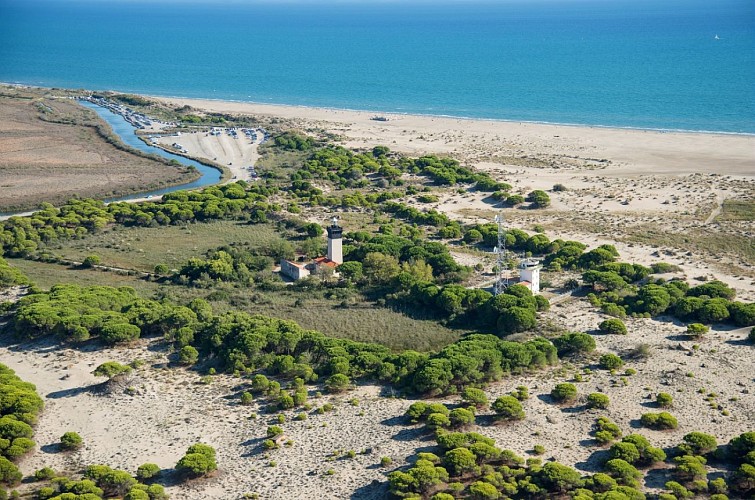 La plage de l'Espiguette