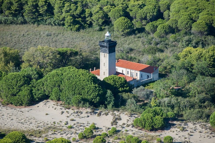 La plage de l'Espiguette