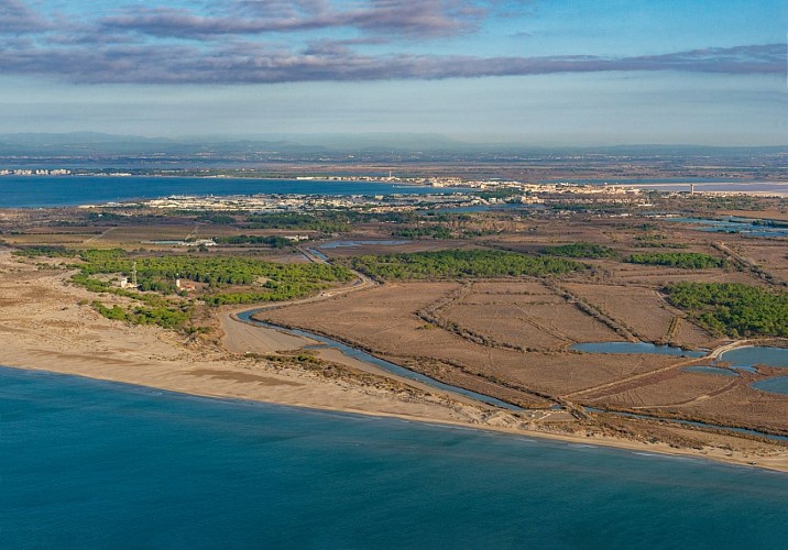 La plage de l'Espiguette