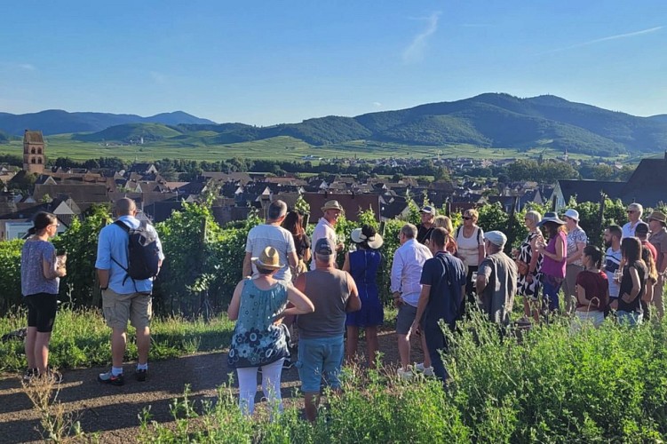 Feinschmeckeraperitif auf dem Weingut Tappe