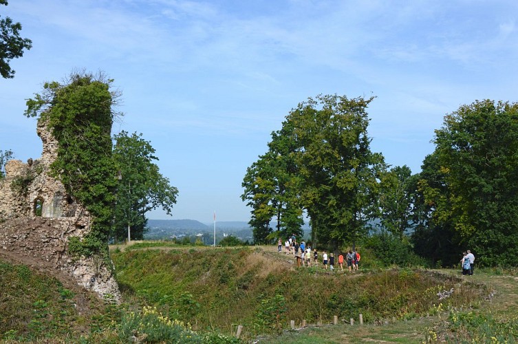 Vestiges du château médiéval de Montfort-sur-Risle