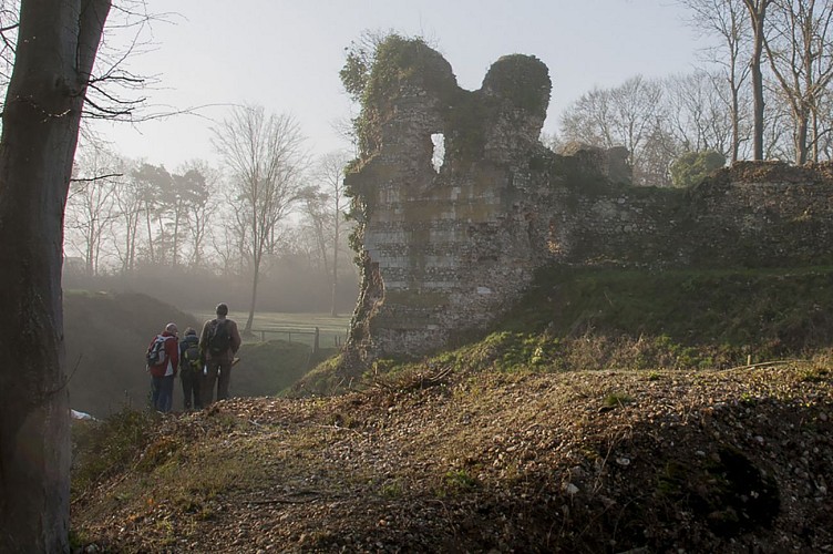 Vestiges du château médiéval de Montfort-sur-Risle