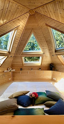 "Kota Dream" tree house