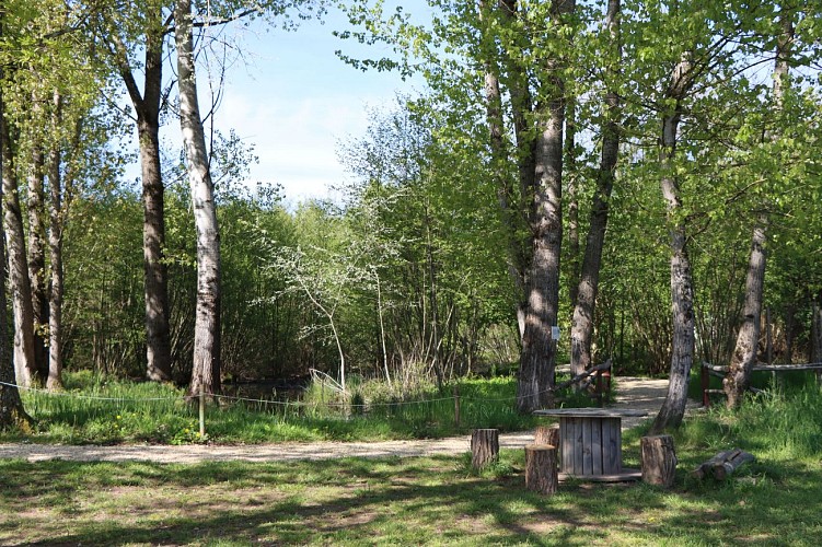 LudOGaïa