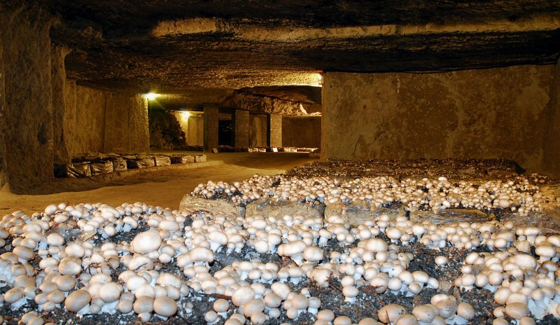 La Cave aux Moines