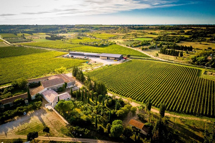 Guided Tour and Tasting at Mas des Tourelles