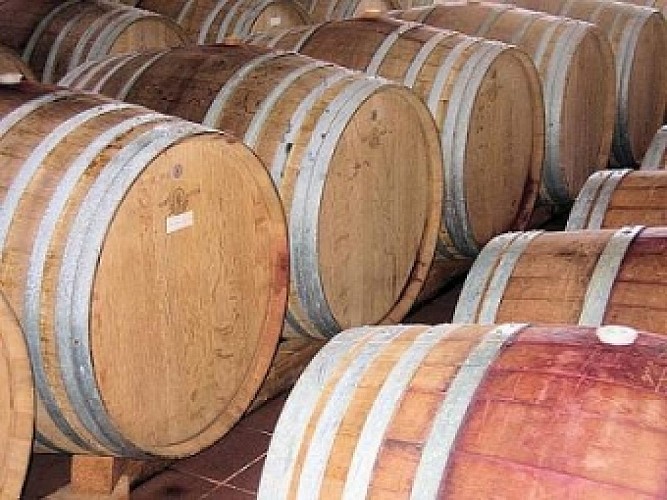 Discovery walk and tasting at Domaine de Trépaloup