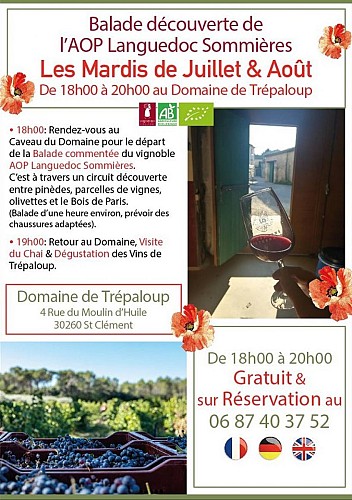 Balade découverte et dégustation au Domaine de Trépaloup
