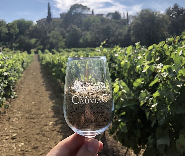 Dégustation Domaine de Cauviac