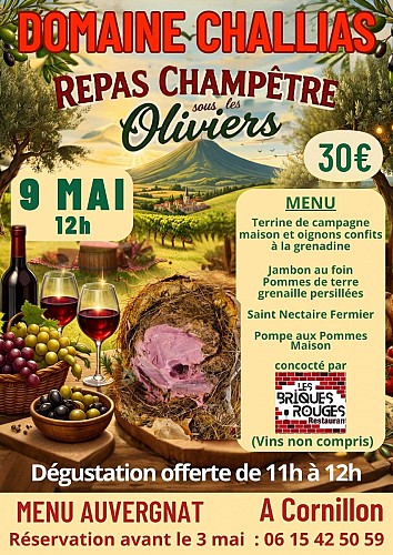 Repas champêtre sous les oliviers au domaine Challias
