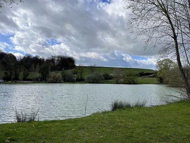 Etang derrière la maison