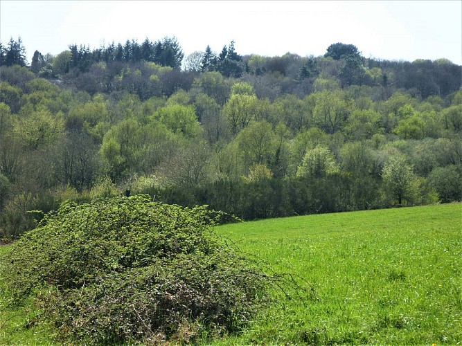 L’évolution du bocage