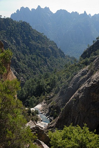Vue du haut et du flanc droit "délicat"
