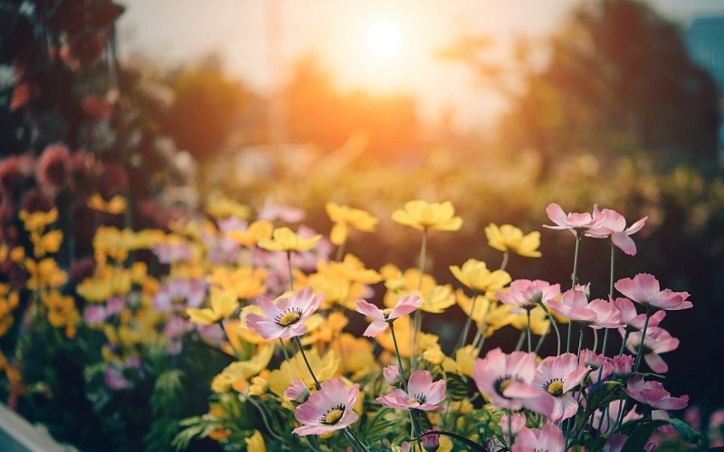 Jardin des Oules - Rendez-vous aux Jardins