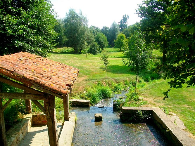 PARC DES LAVANDIÈRES