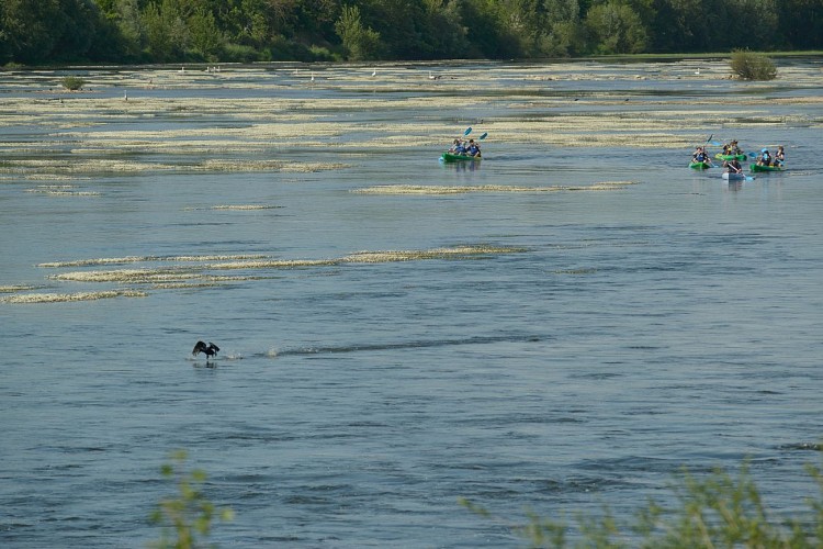 Base de canoë-kayak Pagaies de Loire à Montjean-sur-Loire