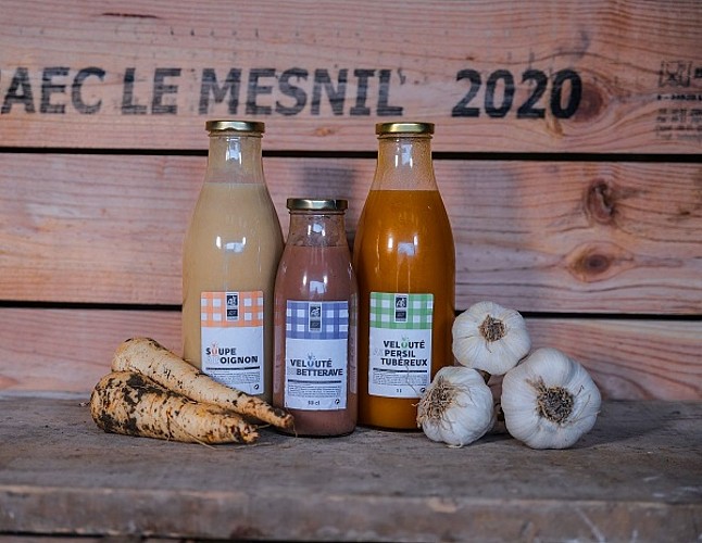 GAEC LE MESNIL-©Office de Tourisme du Grand Pithiverais (2)