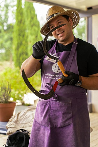Visites guidées d'une distillerie artisanale en Provence