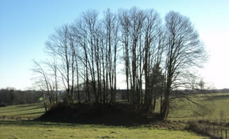 image du object