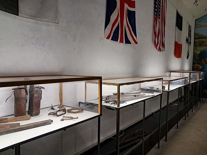 Visites guidées du fort du Vieux Canton