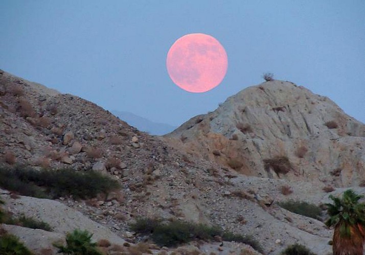Nocturnal Jeep Tour of the San Andreas Fault – Leaving from Palm Desert