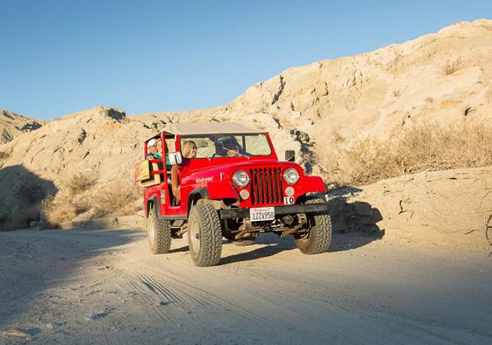 Tour nocturne en jeep à découverte de la faille de San Andreas –  Au départ de Palm Desert