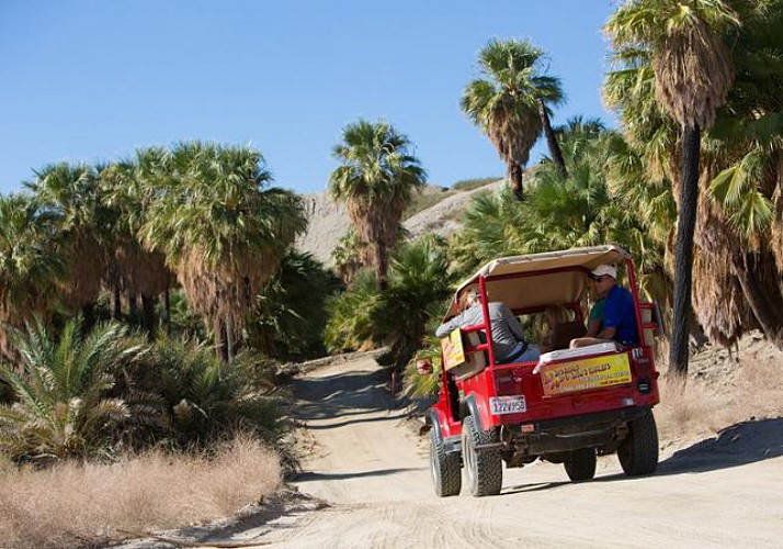Tour nocturne en jeep à découverte de la faille de San Andreas –  Au départ de Palm Desert