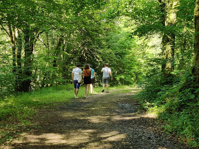 Balade commentée du sentier "au fil de l'eau"