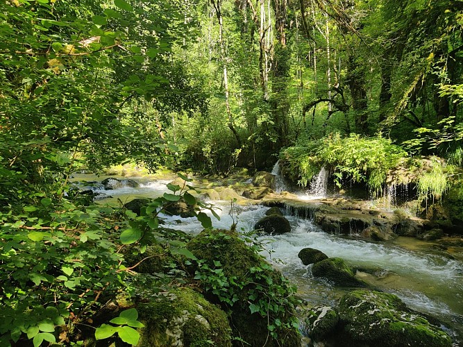 Balade commentée du sentier "au fil de l'eau"