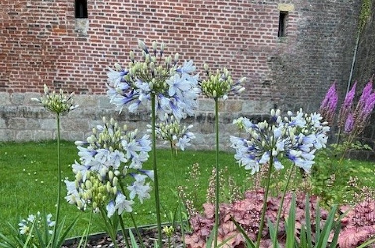 Jardins de la Paix : le jardin d'Eutychia