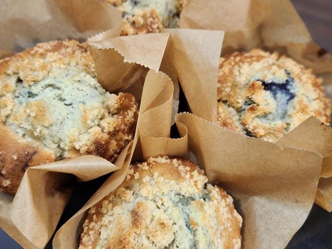 Sologne tourisme coffee shop 61 muffins