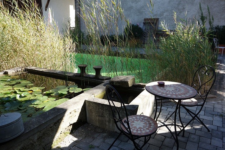 Au coeur des roseaux bed and breakfast