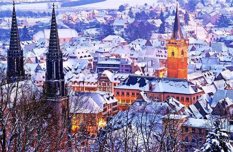 Gastronomy and crafts Christmas market in Obernai