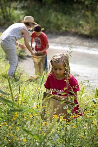 Sortie nature, Petites bêtes des hautes herbes