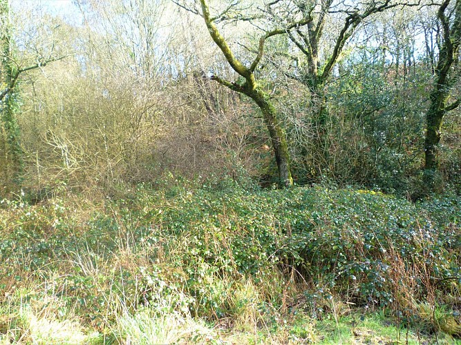 image du object