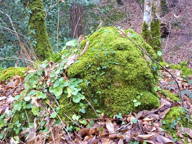 image du object