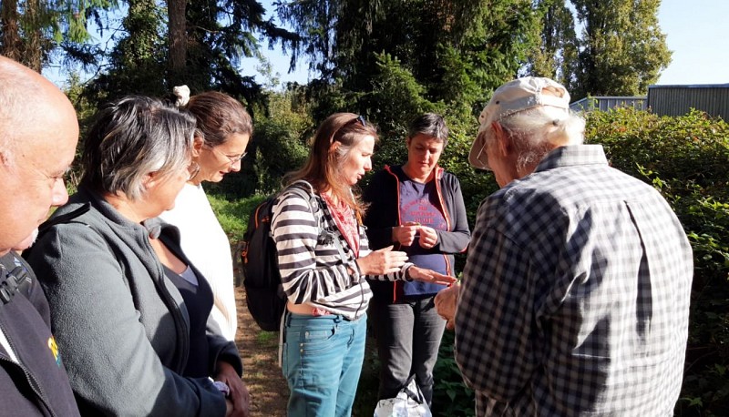 Balade découverte des plantes sauvages et médicinales