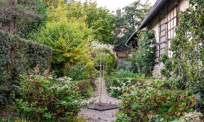 Le-Repit-de-la-Bucaille-Quincampoix-Gites-Accueil-paysan (16)