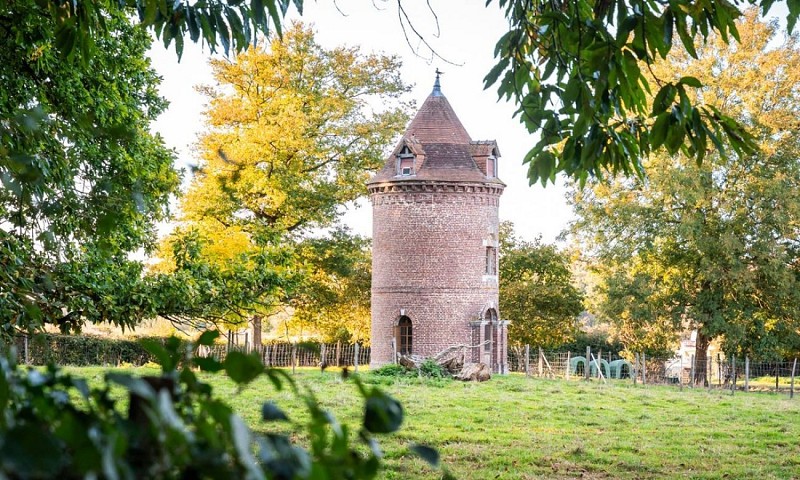 Le-Repit-de-la-Bucaille-Quincampoix-Gites-Accueil-paysan (14)