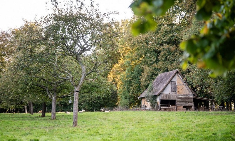 Le-Repit-de-la-Bucaille-Quincampoix-Gites-Accueil-paysan (17)